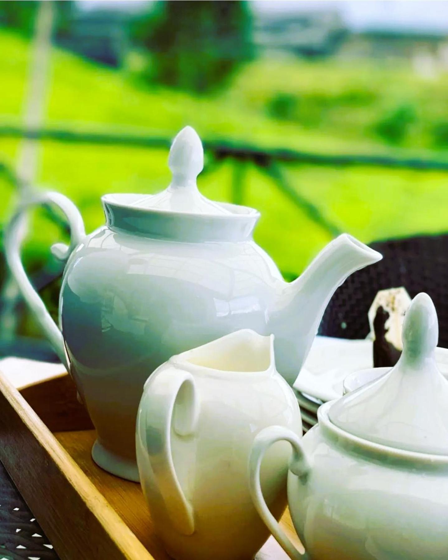 The Tea Garden Villa Nuwara Eliya Dış mekan fotoğraf
