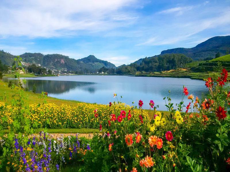 The Tea Garden Villa Nuwara Eliya Dış mekan fotoğraf