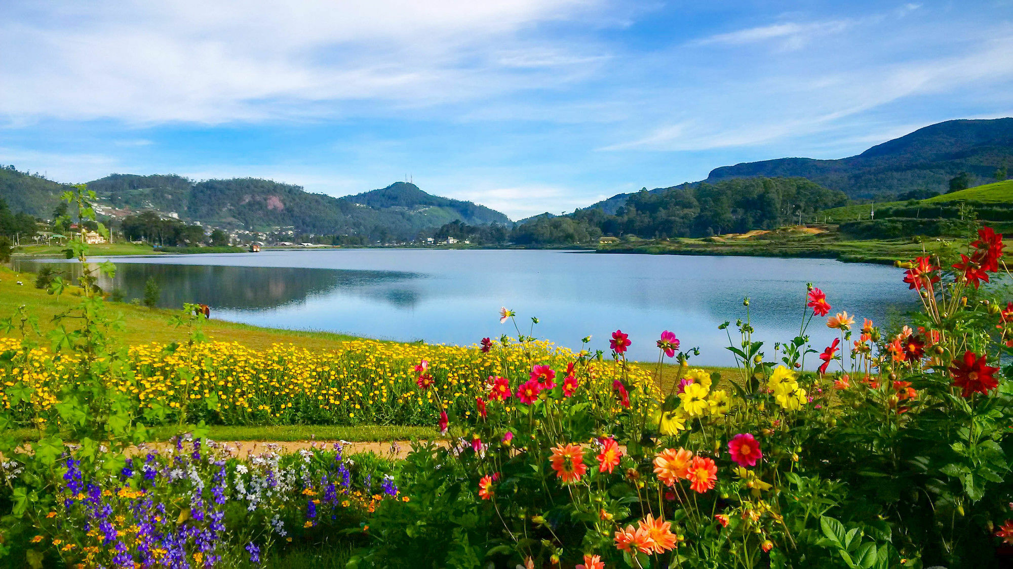 The Tea Garden Villa Nuwara Eliya Dış mekan fotoğraf